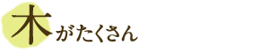 木がたくさん